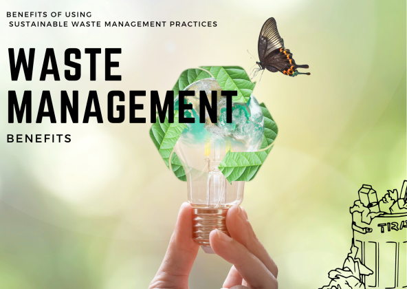 9 Best Waste Management Practices: From Upcycling to Energy Conversion