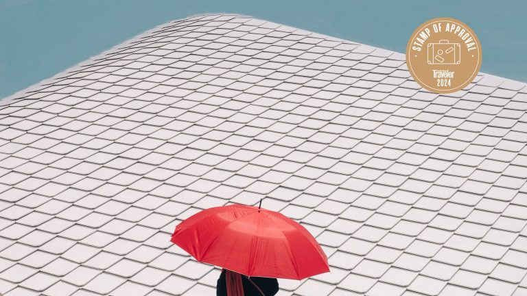 9 Best Travel Umbrellas: Compact, Durable, and Stylish Picks for Every Traveler