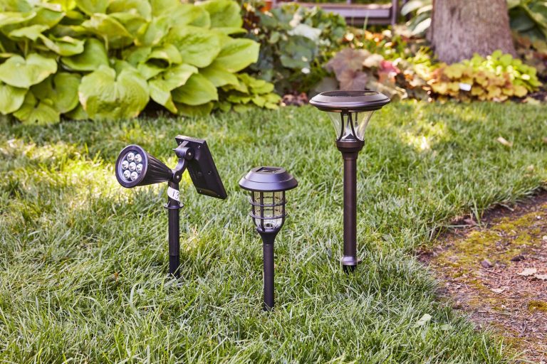 9 Best Solar Garden Lights: Illuminate and Beautify Your Outdoor Space