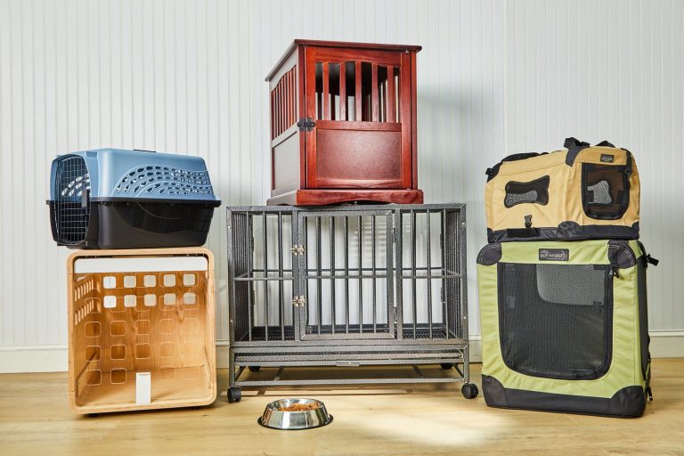 9 Best Dog Crates for Large Dogs: Safe, Comfortable, and Durable Options for Your Pet