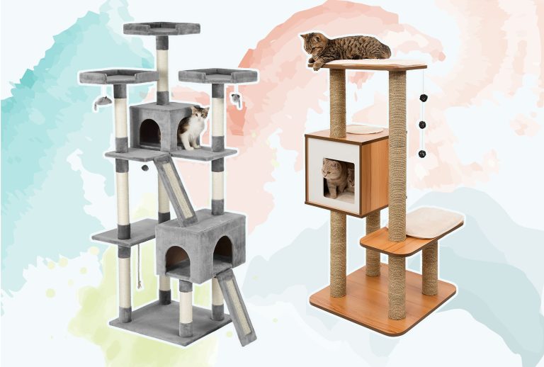 9 Best Cat Trees for Large Cats: Durable, Comfortable, and Stylish Picks for 2024