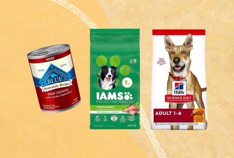9 Best Dry Dog Food for Large Dogs: High-Protein, Budget-Friendly, and More