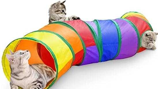 9 Best Interactive Cat Toys: Engage, Entertain, and Exercise Your Feline Friend