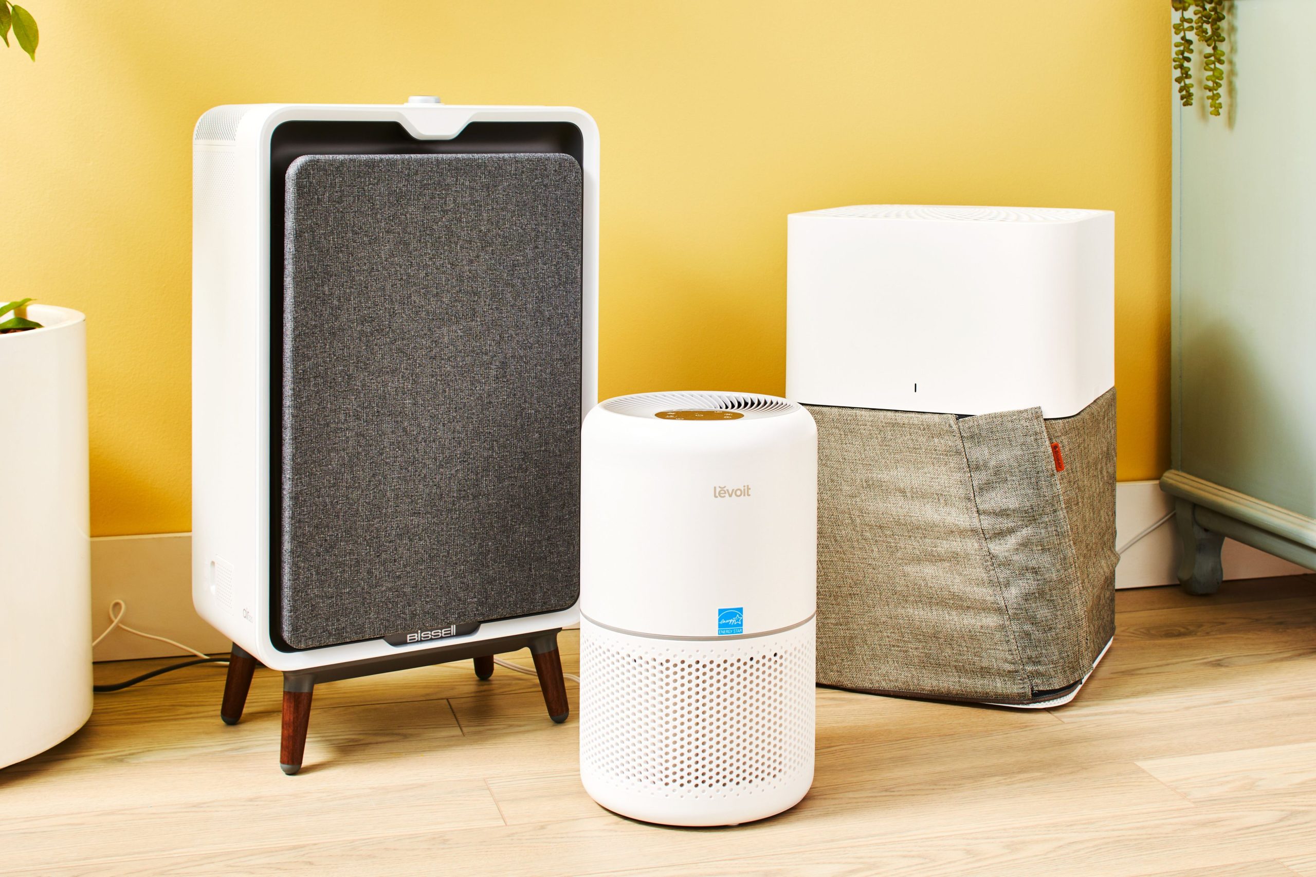 9 Best Air Purifiers for Pets: Top Choices for Pet Owners in 2024