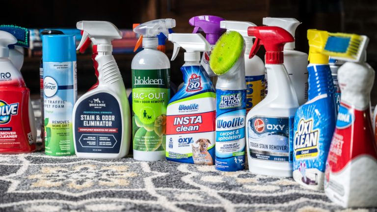 9 Best Carpet Stain Removers: Expert Picks for a Spotless Home