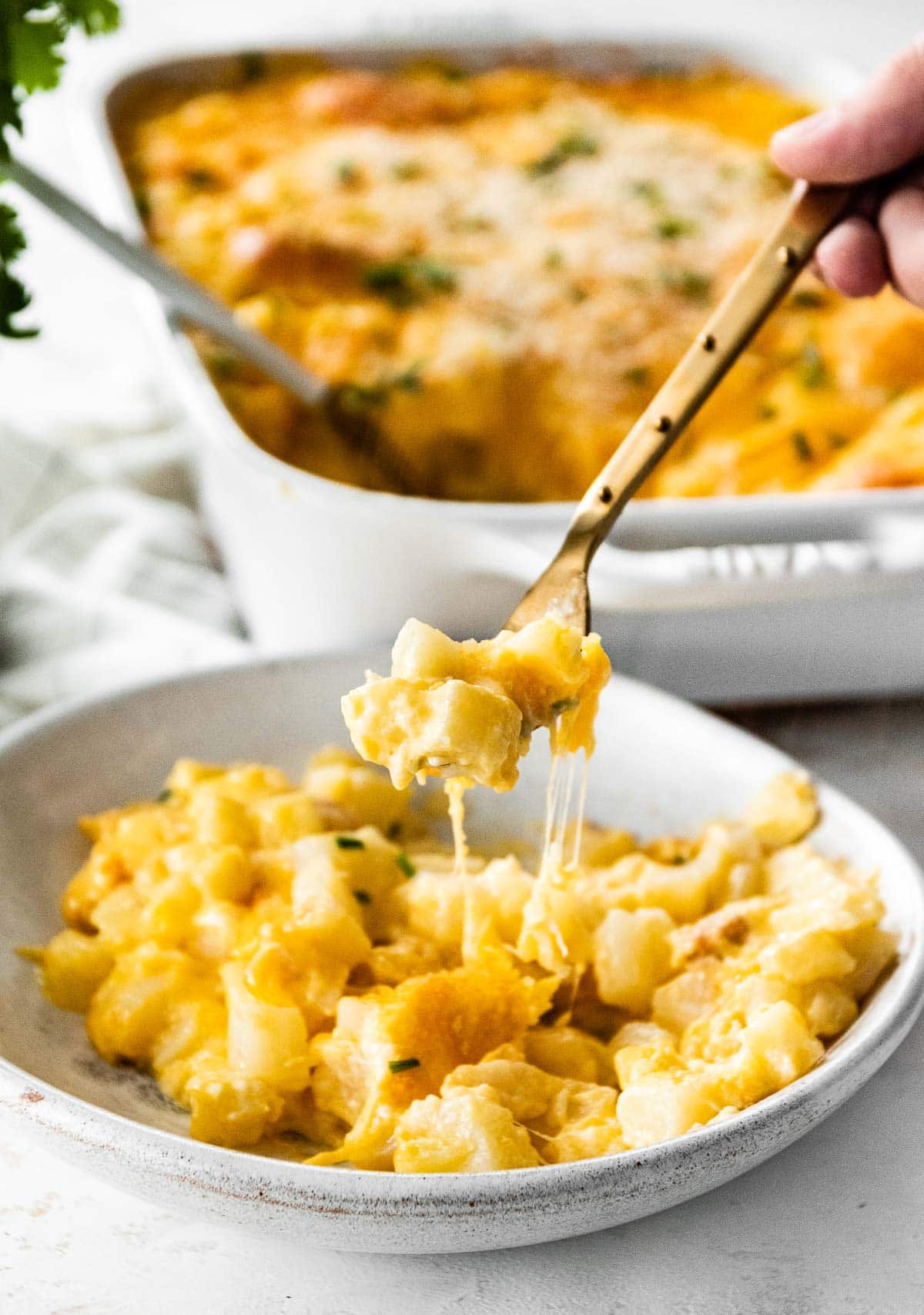 Cheesy Potato Casserole From Ore-Ida: Recipe, Variations, and Customer Reviews