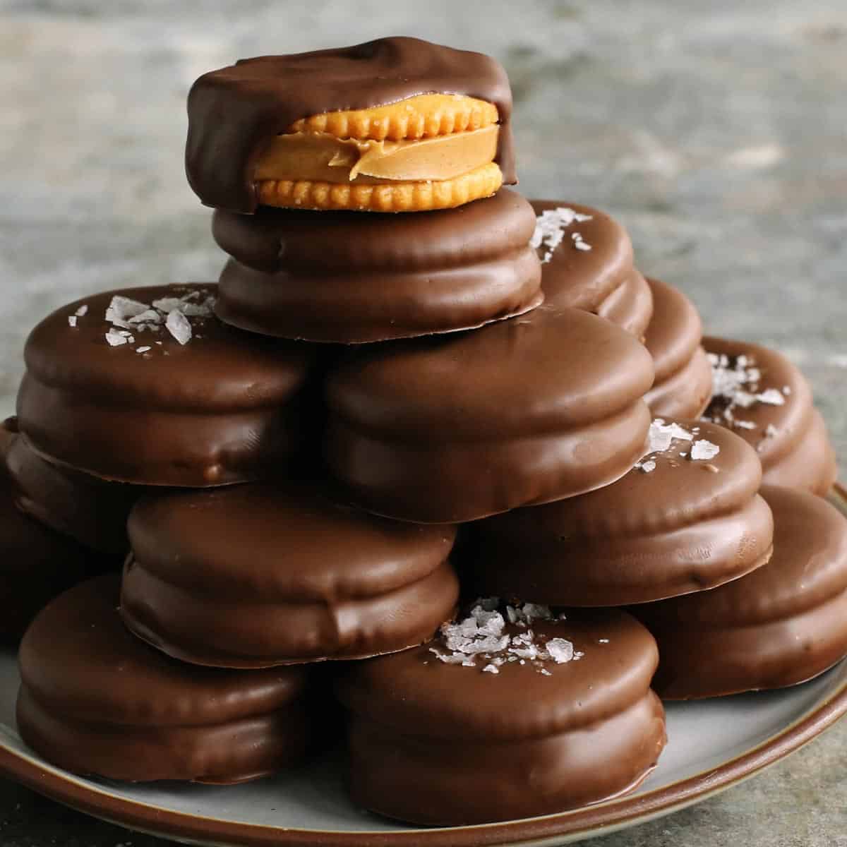 Chocolate Coated Peanut Butter Crackers