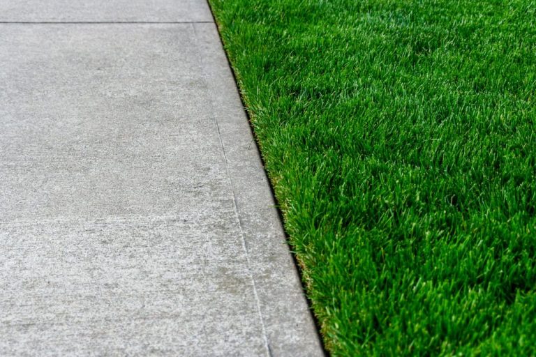 9 Best Edgers for a Perfectly Manicured Lawn: Reviews & Buying Guide