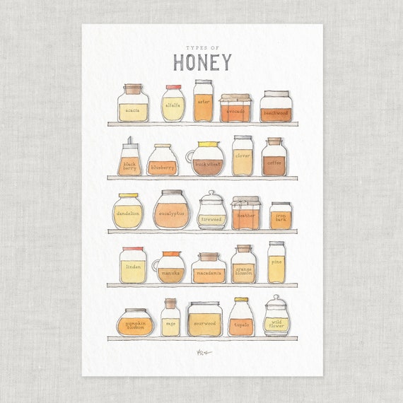 9 Best Honey Varieties: Manuka, Clover, Wildflower, and More