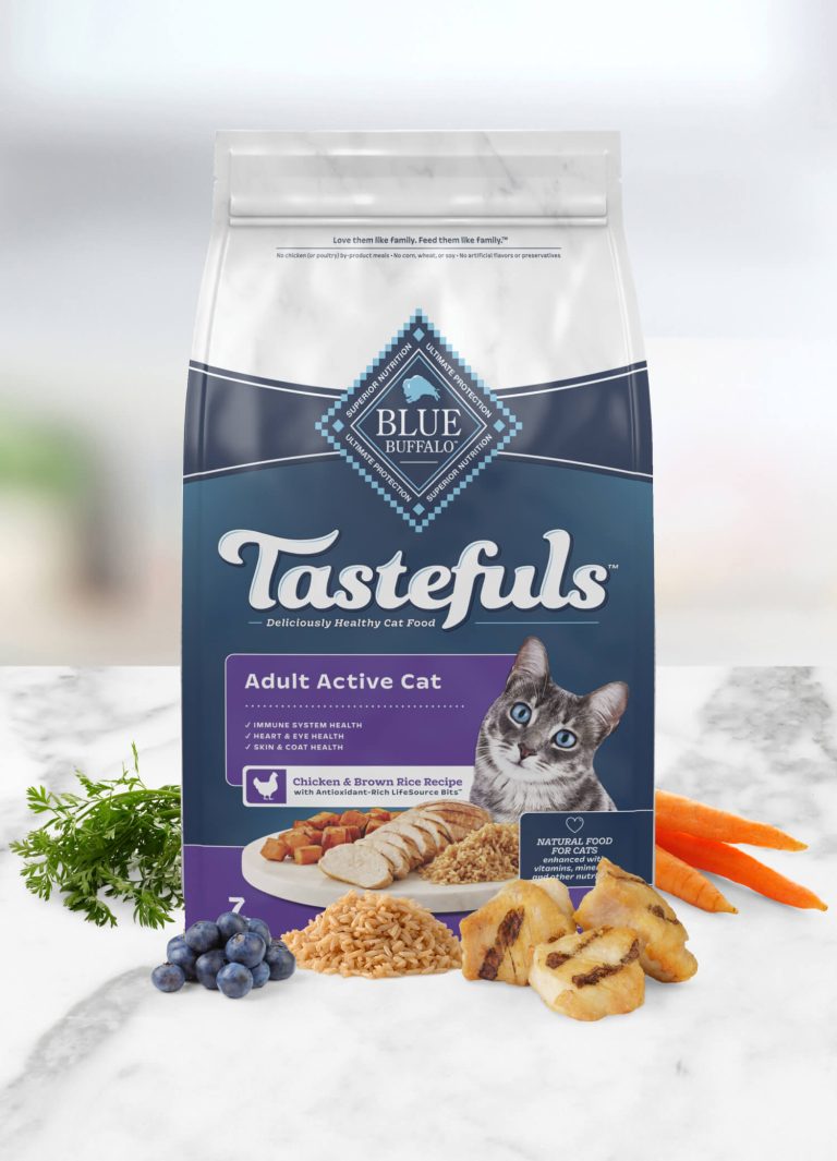 9 Best Cat Treats: Top Healthy and Tasty Options Your Feline Friend Will Love
