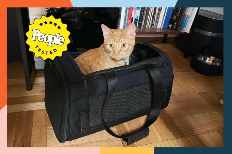 9 Best Cat Carriers for Safe and Comfortable Travel in 2024