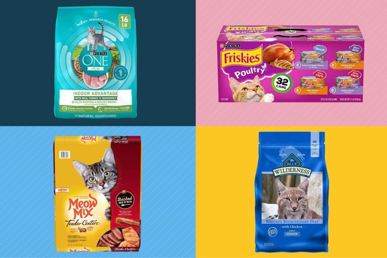 9 Best Dry Cat Food for Indoor Cats: Healthy, Nutritious, and Flavorful Options