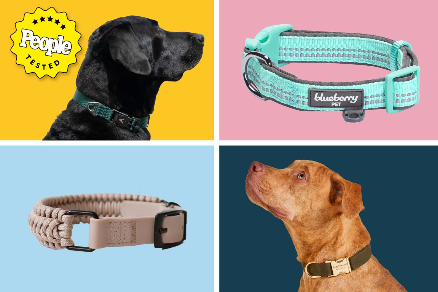 9 Best Dog Muzzles: Top Picks for Comfort, Budget, and Safety