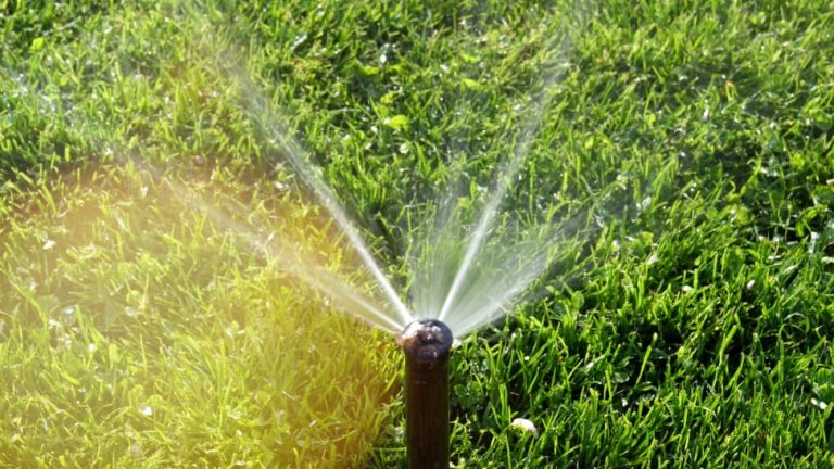 9 Best Sprinklers for Efficient and Smart Garden Watering in 2024