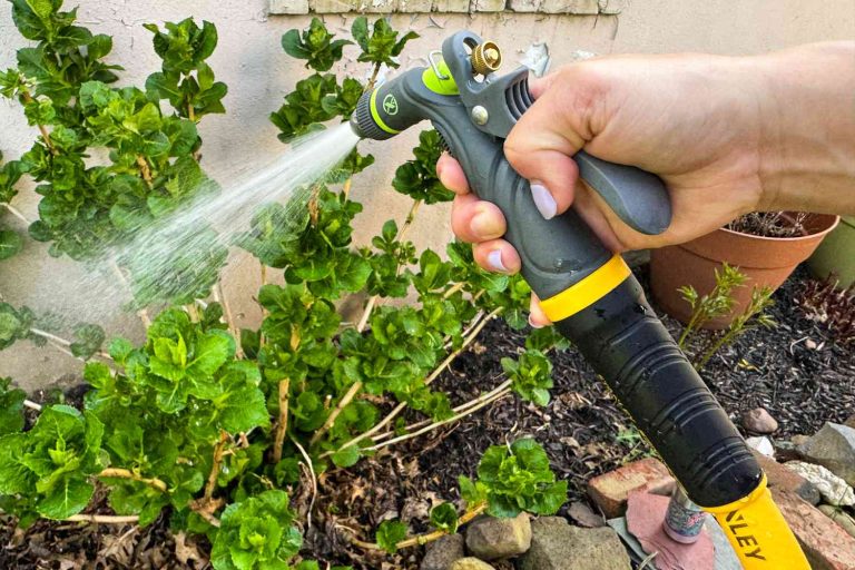 9 Best Garden Hoses: Durable, Eco-Friendly, and Smart Options for Every Gardener