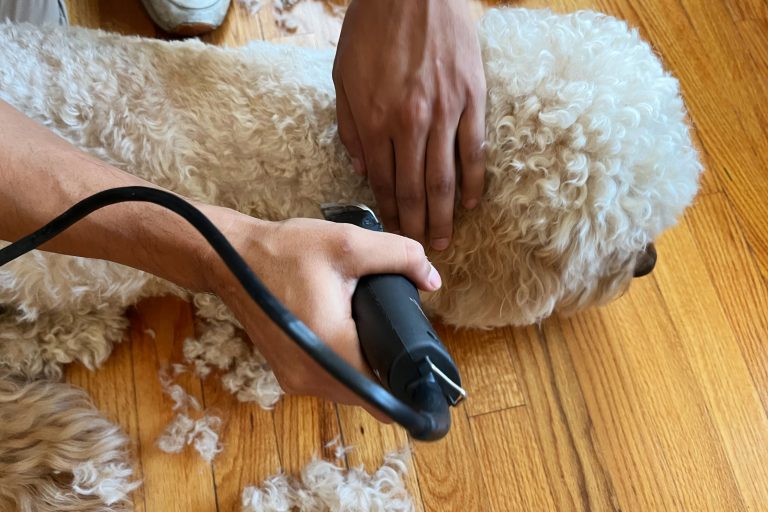 9 Best Dog Clippers: Top Choices for All Breeds and Coat Types in 2024
