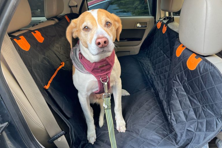 9 Best Dog Car Seats for Safety, Comfort, and Style