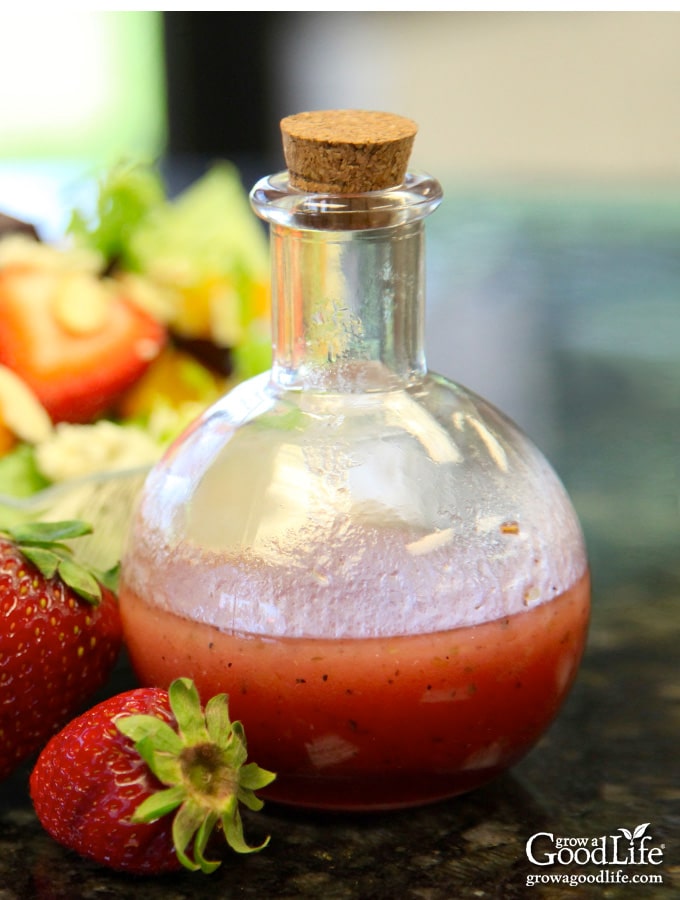 Strawberry Vinaigrette Recipe: Fresh, Fruity, and Simple to Make