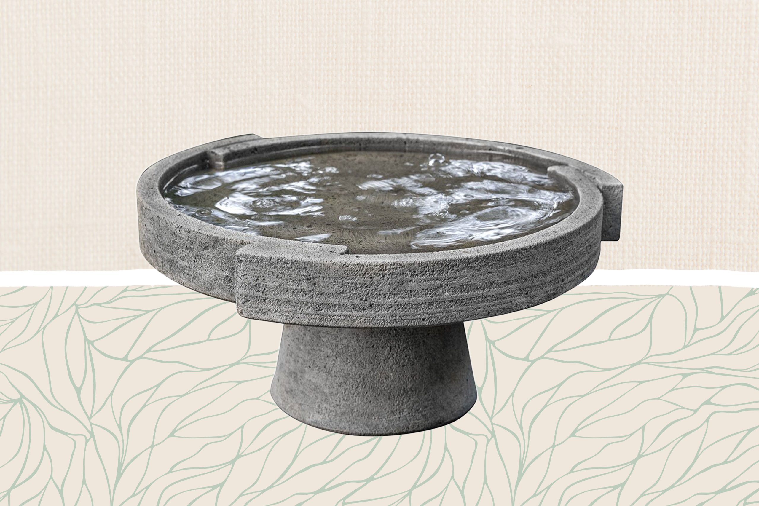 9 Best Bird Baths for a Bird-Friendly Backyard: Top Picks and Maintenance Tips